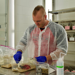 Louis Colling, Arts &amp; Sciences (Doctoral Student, Molecular Biophysics), Genotyping mice