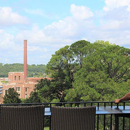 Summer 2019 University of Florida McNair Scholars Campus Visit