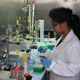 Anuska Das, Arts & Sciences (Doctoral Student, Molecular Physics), Protein Histidine Affinity Chromotography